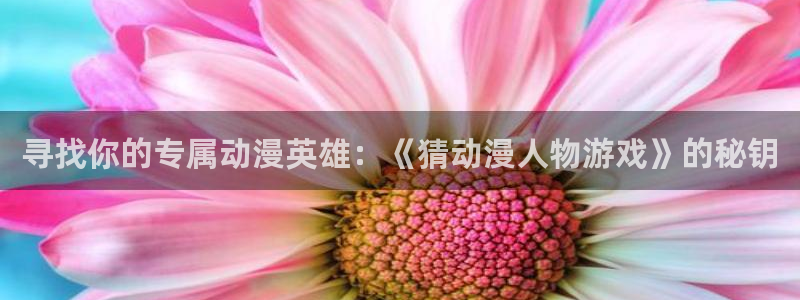 动漫网里番
