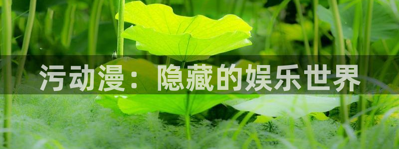 里番动漫在线观看网站：污动漫：隐藏的娱乐世界