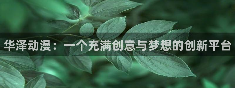 本子里番漫画：华泽动漫：一个充满创意与梦想的创新平台