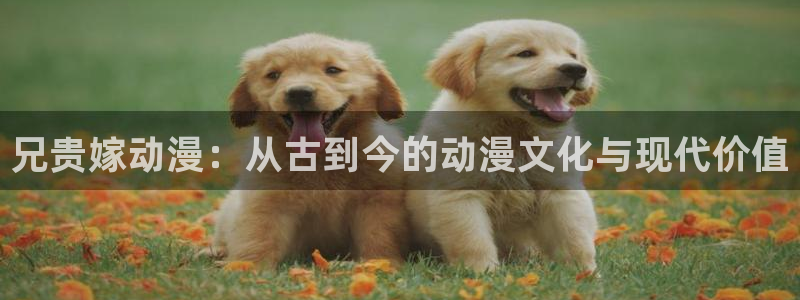 好看的里番动漫：兄贵嫁动漫：从古到今的动漫文化与现代价值