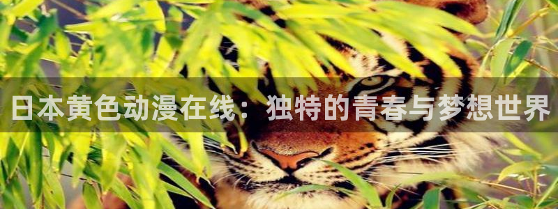 里番动漫的网站：日本黄色动漫在线：独特的青春与梦想世界