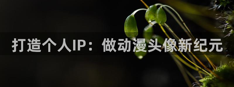 动漫acg里番：打造个人IP：做动漫头像新纪元