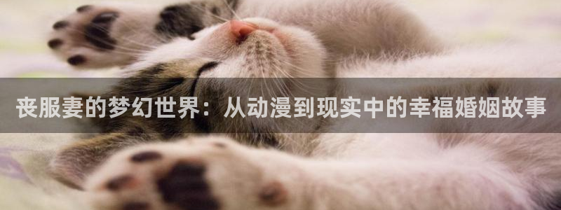 里番动漫哪找：丧服妻的梦幻世界：从动漫到现实中的幸福婚姻故事