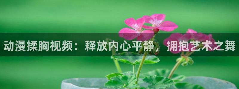里番动漫风车：动漫揉胸视频：释放内心平静，拥抱艺术之舞