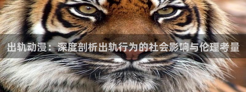 色列漫画里番本子：出轨动漫：深度剖析出轨行为的社会影响与伦理考量