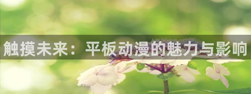 日本旧里番动漫：触摸未来：平板动漫的魅力与影响