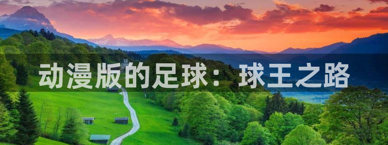 里番动漫 在线观看：动漫版的足球：球王之路