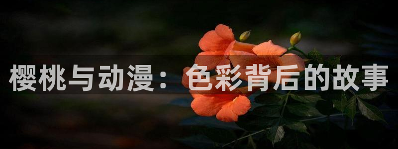 里番动漫在哪里可以看：樱桃与动漫：色彩背后的故事