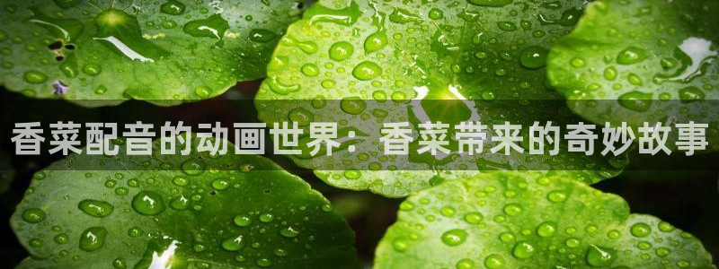 漫画肉里番：香菜配音的动画世界：香菜带来的奇妙故事