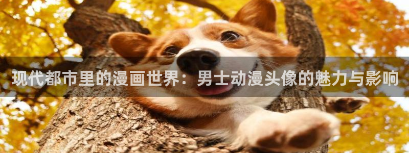 樱花里番动漫：现代都市里的漫画世界：男士动漫头像的魅力与影响