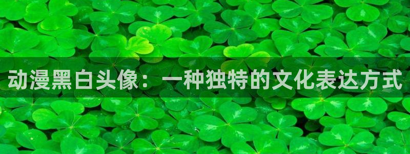 肉里番动漫：动漫黑白头像：一种独特的文化表达方式