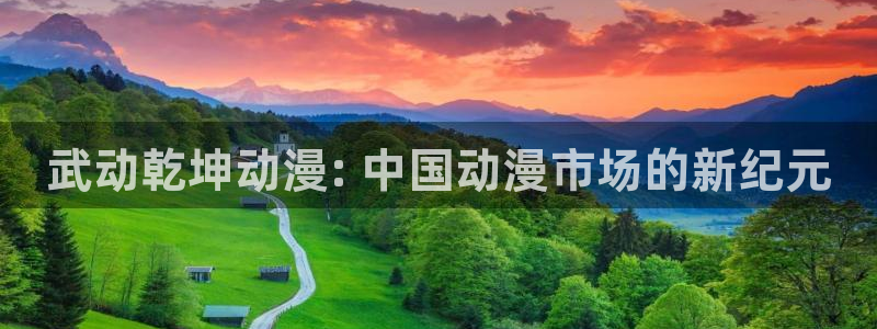 里番本子漫画免费观看：武动乾坤动漫: 中国动漫市场的新纪元