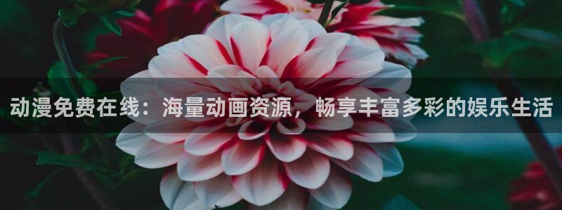 里番动漫网站：动漫免费在线：海量动画资源，畅享丰富多彩的娱乐生活