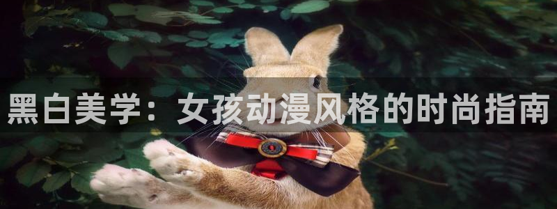 里番动漫在线网：黑白美学：女孩动漫风格的时尚指南