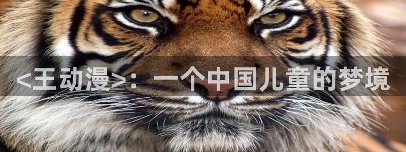 牛头人里番动漫：<王动漫>：一个中国儿童的梦境