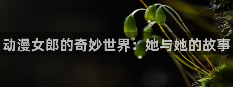 看里番动漫的软件：动漫女郎的奇妙世界：她与她的故事