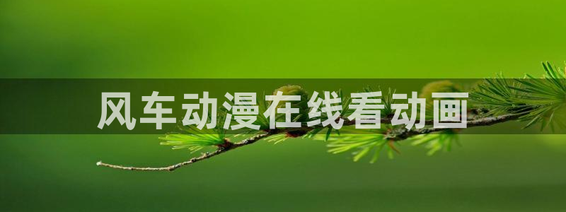 动漫同人里番：风车动漫在线看动画