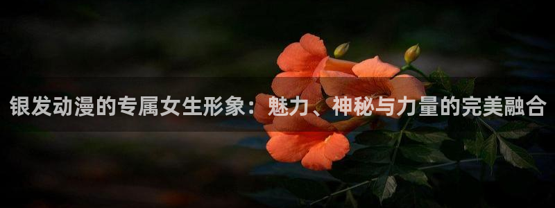 动画里番：银发动漫的专属女生形象：魅力、神秘与力量的完美融合