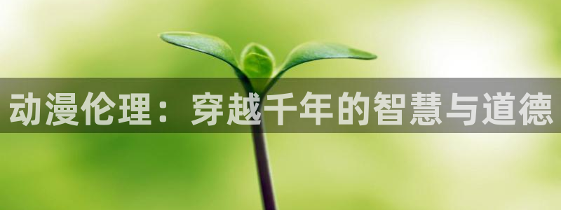 动漫大全里番动漫：动漫伦理：穿越千年的智慧与道德