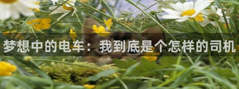 里番动漫最新网址：梦想中的电车：我到底是个怎样的司机