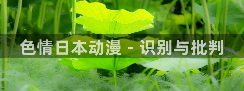 里番剧动漫：色情日本动漫 - 识别与批判