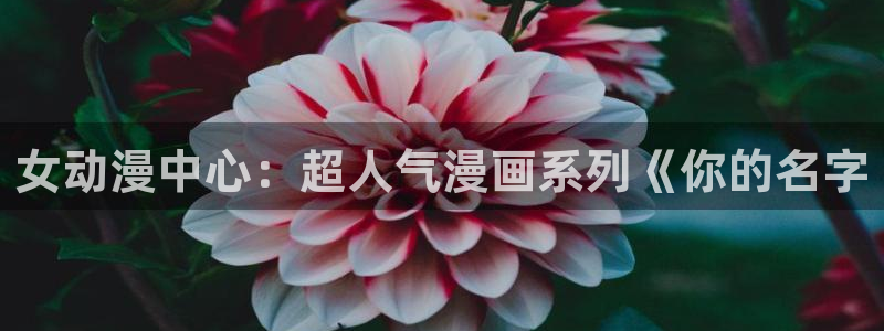 日本里番漫画库：女动漫中心：超人气漫画系列《你的名字