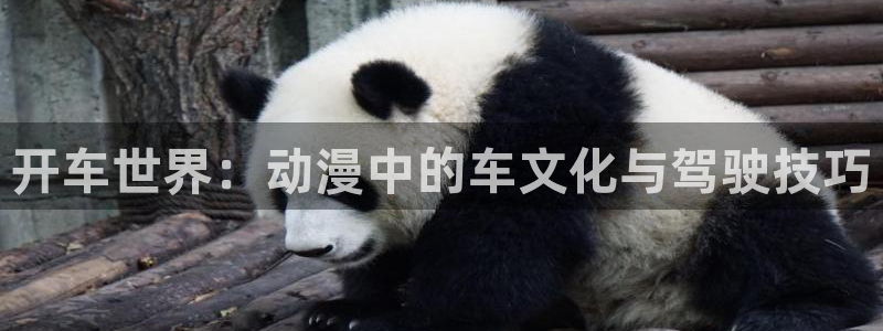 魅魔里番动漫：开车世界：动漫中的车文化与驾驶技巧