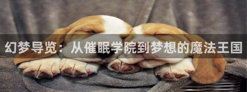 动漫里番下载：幻梦导览：从催眠学院到梦想的魔法王国