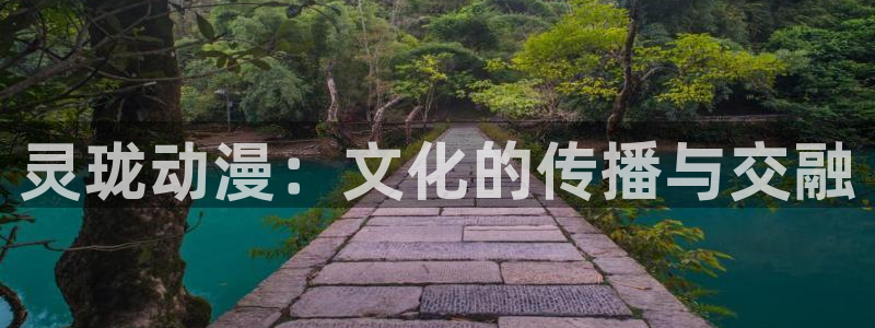 里番动漫艳母：灵珑动漫：文化的传播与交融