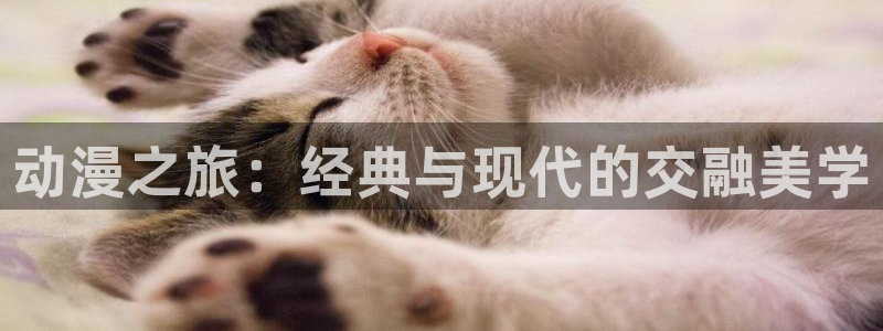 动漫里番推荐网站：动漫之旅：经典与现代的交融美学