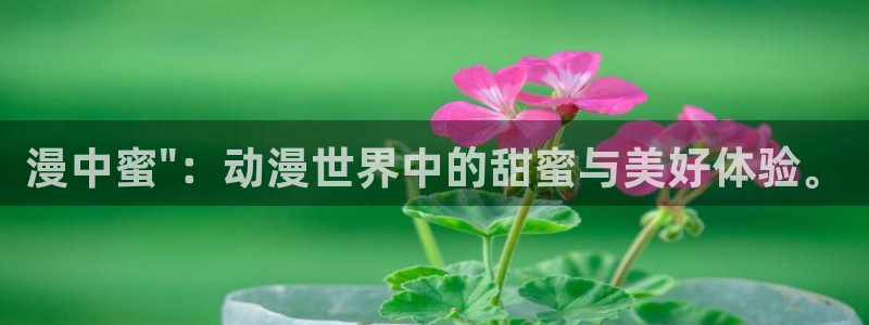 里番肉番动漫在线：漫中蜜\