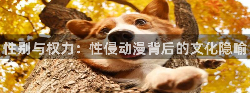 里番 动漫在线观看：性别与权力：性侵动漫背后的文化隐喻